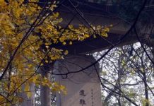 Ausstellung über die Massaker von Nanking in Berlin