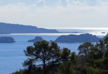 Andratx und Peguera im November – Mallorcas Westen: Zwischen Meer und Bergen in der Nachsaison