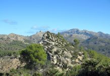 Fotoreportage: Wandern rund um Sant Elm