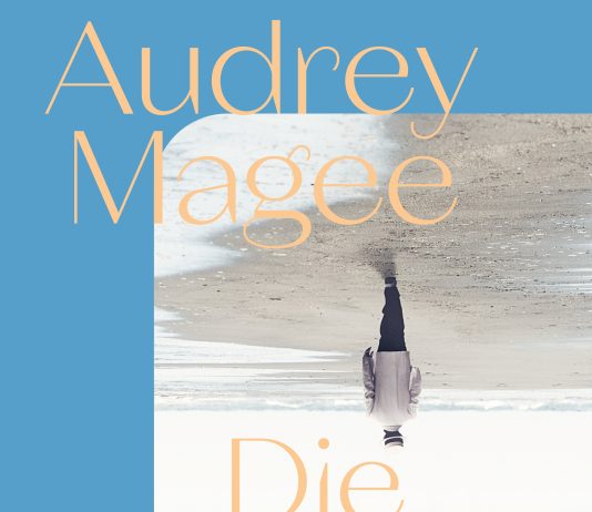 Das gebrochene Licht – „Die Kolonie“ ist ein schauerlich schöner Roman von Audrey Magee über eine irische Insel
