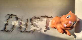 Visuell OPULENT! Der neue Spielfilm DUST BUNNY ist ein dunkles Märchen von einem jungen Mädchen, das Mads Mikkelsen bittet, das Monster zu finden DUST BUNNY ist kein Spielzeug, das man unter dem Bett vergessen hat, sondern ein englisches Wort für Staubflusen, hier buchstäblich und gegenständlich und bildlich festgehalten. Es ist auch der Titel eines Spielfilms, der am 19.2.2026 bundesweit ins Kino kommt (Filmstart 19. Februar '26)