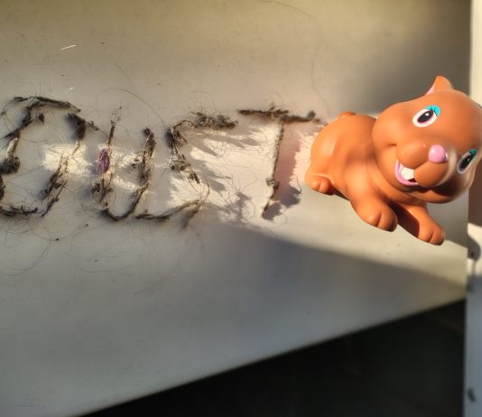 Visuell OPULENT! Der neue Spielfilm DUST BUNNY ist ein dunkles Märchen von einem jungen Mädchen, das Mads Mikkelsen bittet, das Monster zu finden DUST BUNNY ist kein Spielzeug, das man unter dem Bett vergessen hat, sondern ein englisches Wort für Staubflusen, hier buchstäblich und gegenständlich und bildlich festgehalten. Es ist auch der Titel eines Spielfilms, der am 19.2.2026 bundesweit ins Kino kommt (Filmstart 19. Februar '26)