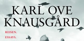Knausgård lesen und eindösen – Annotation zum Buch „Im Augenblick“ von Karl Ove Knausgård
