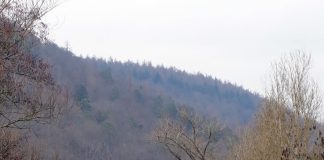 Hohe Herren und Habenichtse: Unterwegs im östlichen Spessart