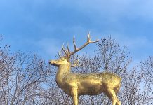 „Those Who Leave Buy Flowers“, ein Film von SOHYEON NAM beim Berlin Short Film Festival Einige Szenen aus dem Kurzfilm "Those Who Leave Buy Flowers" von Sohyeon Nam, spielen hier: Goldener Hirsch am U-Bahnhof Rathaus Schöneberg im Volkspark Schöneberg in Westen Berlins. Ein Film des 15. Berlin SHORT Film Festivals im Winter 2026. Photo/ BU: copyright 2026 BY Andreas Hagemoser; Aufnahmeort Berlin, Datum 10.2.'26