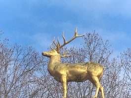 „Those Who Leave Buy Flowers“, ein Film von SOHYEON NAM beim Berlin Short Film Festival Einige Szenen aus dem Kurzfilm "Those Who Leave Buy Flowers" von Sohyeon Nam, spielen hier: Goldener Hirsch am U-Bahnhof Rathaus Schöneberg im Volkspark Schöneberg in Westen Berlins. Ein Film des 15. Berlin SHORT Film Festivals im Winter 2026. Photo/ BU: copyright 2026 BY Andreas Hagemoser; Aufnahmeort Berlin, Datum 10.2.'26