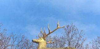 „Those Who Leave Buy Flowers“, ein Film von SOHYEON NAM beim Berlin Short Film Festival Einige Szenen aus dem Kurzfilm "Those Who Leave Buy Flowers" von Sohyeon Nam, spielen hier: Goldener Hirsch am U-Bahnhof Rathaus Schöneberg im Volkspark Schöneberg in Westen Berlins. Ein Film des 15. Berlin SHORT Film Festivals im Winter 2026. Photo/ BU: copyright 2026 BY Andreas Hagemoser; Aufnahmeort Berlin, Datum 10.2.'26