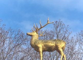 „Those Who Leave Buy Flowers“, ein Film von SOHYEON NAM beim Berlin Short Film Festival Einige Szenen aus dem Kurzfilm "Those Who Leave Buy Flowers" von Sohyeon Nam, spielen hier: Goldener Hirsch am U-Bahnhof Rathaus Schöneberg im Volkspark Schöneberg in Westen Berlins. Ein Film des 15. Berlin SHORT Film Festivals im Winter 2026. Photo/ BU: copyright 2026 BY Andreas Hagemoser; Aufnahmeort Berlin, Datum 10.2.'26