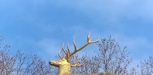 „Those Who Leave Buy Flowers“, ein Film von SOHYEON NAM beim Berlin Short Film Festival Einige Szenen aus dem Kurzfilm "Those Who Leave Buy Flowers" von Sohyeon Nam, spielen hier: Goldener Hirsch am U-Bahnhof Rathaus Schöneberg im Volkspark Schöneberg in Westen Berlins. Ein Film des 15. Berlin SHORT Film Festivals im Winter 2026. Photo/ BU: copyright 2026 BY Andreas Hagemoser; Aufnahmeort Berlin, Datum 10.2.'26