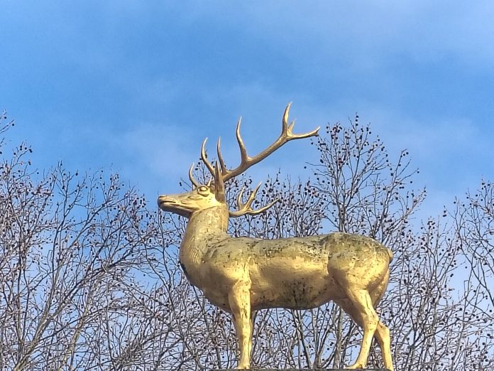 Einige Szenen aus dem Kurzfilm "Those Who Leave Buy Flowers" von Sohyeon Nam, spielen hier: Goldener Hirsch am U-Bahnhof Rathaus Schöneberg im Volkspark Schöneberg in Westen Berlins. Ein Film des 15. Berlin SHORT Film Festivals im Winter 2026. Photo/ BU: copyright 2026 BY Andreas Hagemoser; Aufnahmeort Berlin, Datum 10.2.'26