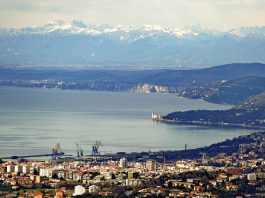 Meereslebewesen – Ein Roman und ein Sachbuch mit gleicher Hauptfigur: Triest