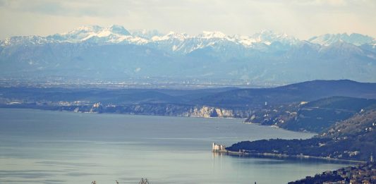 Meereslebewesen – Ein Roman und ein Sachbuch mit gleicher Hauptfigur: Triest