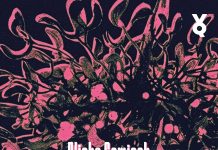 Kaputt in Novosibirsk – Annotation zum Debutroman „Parasiti“ von Alisha Gamisch