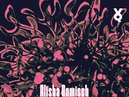 Kaputt in Novosibirsk – Annotation zum Debutroman „Parasiti“ von Alisha Gamisch