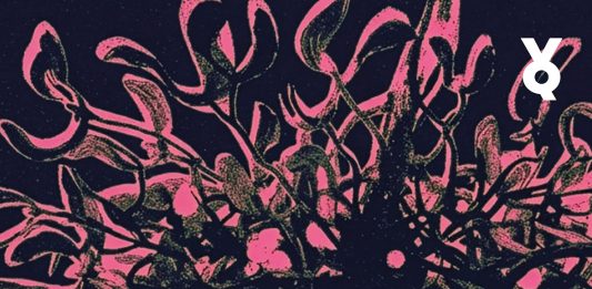 Kaputt in Novosibirsk – Annotation zum Debutroman „Parasiti“ von Alisha Gamisch