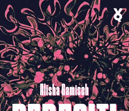 Kaputt in Novosibirsk – Annotation zum Debutroman „Parasiti“ von Alisha Gamisch