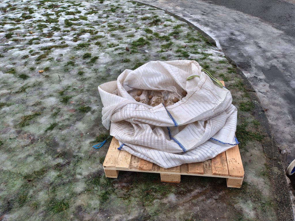 Das Jubiläumsgeschenk zu 100 Jahre IGW = Grüne Woche: 4000 Tonnen Kartoffeln. Hier ein 800-kg-Sack kurz vor der endgültigen Leerung, auf dem Flughafen Tempelhof in Berlin.