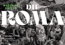 Ein persönlicher Blick auf einige Aspekte der Geschichte der Roma – Annotation zum Sachbuch „Die Roma“ von Madeline Potter