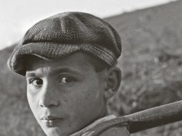 Ein mörderischer Kriegsroman appelliert an menschliche Werte – Annotation zum Werk „Europäische Erziehung“ von Romain Gary