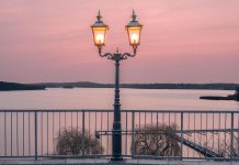 In Berlin soll bald ein Pottwal singen – Das wäre wohl was für den Wansee