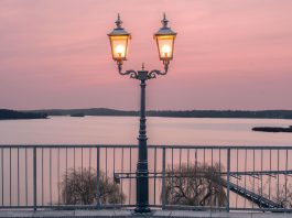 In Berlin soll bald ein Pottwal singen – Das wäre wohl was für den Wannsee