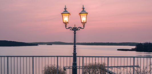In Berlin soll bald ein Pottwal singen – Das wäre wohl was für den Wansee