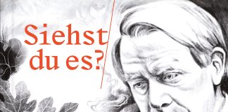 Linien, Formen und Farben und Lenz, Siegfried Lenz – Annotation zum von „Diverse“ illustrierten Werk „Siehst du es? Grafische Erzählungen über den Schriftsteller Siegfried Lenz“