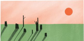 Ein kleines Werk über den Wald in der großen, weiten Welt – Annotation zum Sachcomic „Wald ohne Bäume“ von Hanna Harms