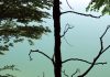 Unterwegs im Blauen Land – Am Kochelsee und in Bad Tölz