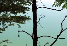 Unterwegs im Blauen Land – Am Kochelsee und in Bad Tölz