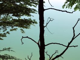 Unterwegs im Blauen Land – Am Kochelsee und in Bad Tölz