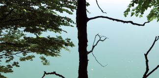 Unterwegs im Blauen Land – Am Kochelsee und in Bad Tölz