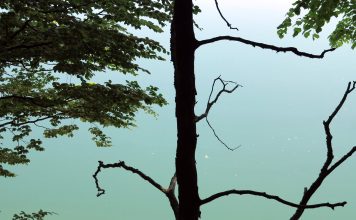 Unterwegs im Blauen Land – Am Kochelsee und in Bad Tölz