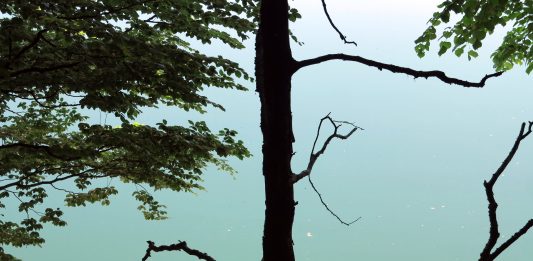 Unterwegs im Blauen Land – Am Kochelsee und in Bad Tölz