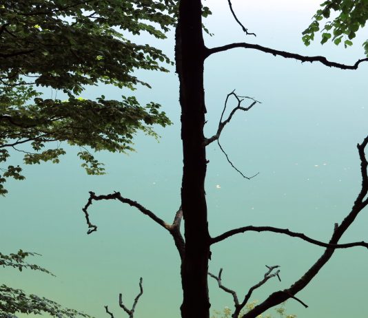 Unterwegs im Blauen Land – Am Kochelsee und in Bad Tölz