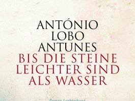 Gräueltaten im Guerra Colonial – Annotation zum Roman „Bis die Steine leichter sind als Wasser“ von António Lobo Antunes