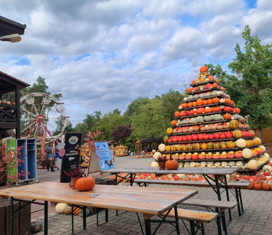 Das A und O sind das A und E: Angus- und Entenbuffet im Hofrestaurant in Klaistow – bis 7.11. jeden Freitag und Samstag, ab Oktober auch donnerstags Beachten Sie bitte das blaue Schild in Bildmitte.