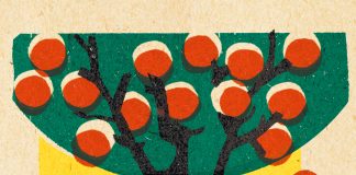 Anatolias langer Weg ins Glück – Annotation zum rätselhaften Roman „Vom Himmel fielen drei Äpfel“ von Marine Abgarjan Cover von „Vom Himmel fielen drei Äpfel“ von Narine Abgargjan: Ein stilisierter Baum mit roten Äpfeln und einem schwarzen Hahn auf gelbem Hintergrund erzeugt eine freundliche Atmosphäre.
