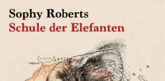 Auf den Spuren Stanleys – Annotation zum Buch „Schule der Elefanten. Auf der Suche nach den Fußspuren des Kolonialismus“ von Sophy Roberts