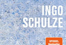 Ingo Schulze schwingt sich in Das Wasser im August zu alter Größe