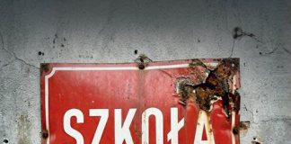 Annotation zum Roman „Szkoła życia“ von Liliana K.