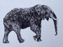 TOUCHED – Ausstellung von Sebastian Unterrainer in Hamburg in der Fabrik der Künste