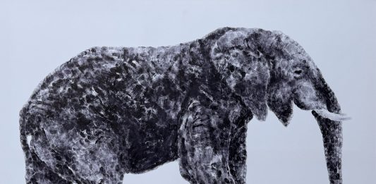 TOUCHED – Ausstellung von Sebastian Unterrainer in Hamburg in der Fabrik der Künste