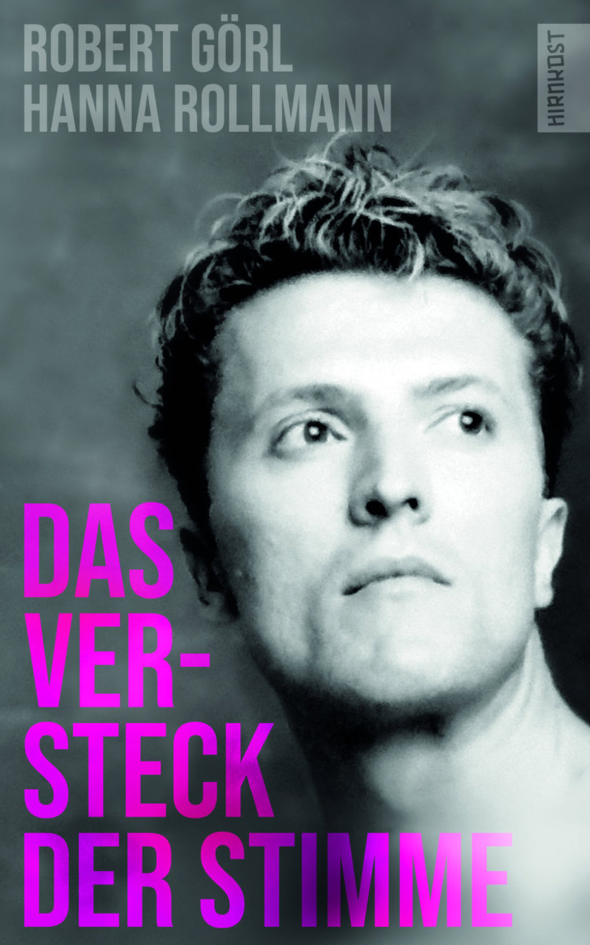 DAF im Nebel – Annotation zum Buch „Das Versteck der Stimme“ von Robert Görl