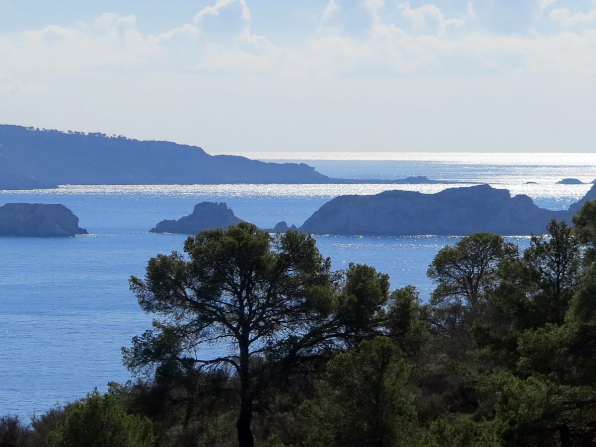 Andratx und Peguera im November – Mallorcas Westen: Zwischen Meer und Bergen in der Nachsaison