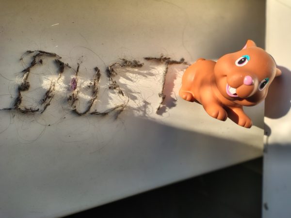 DUST BUNNY ist kein Spielzeug, das man unter dem Bett vergessen hat, sondern ein englisches Wort für Staubflusen, hier buchstäblich und gegenständlich und bildlich festgehalten. Es ist auch der Titel eines Spielfilms, der am 19.2.2026 bundesweit ins Kino kommt (Filmstart 19. Februar '26)